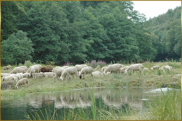 landschaftspflege_1